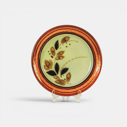 Vintage dinerbord - Fransiscan